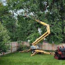 Best Aeration Services  in Steilacoom, WA