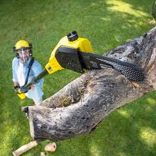 Lawn Grading and Leveling in Steilacoom, WA