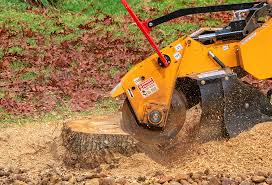 Best Arborist Consultation Services  in Steilacoom, WA