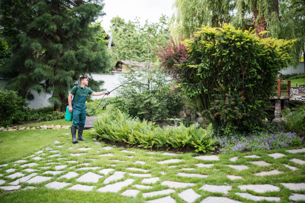 Best Hedge Trimming  in Steilacoom, WA