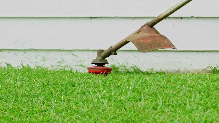 Best Commercial Tree Services  in Steilacoom, WA